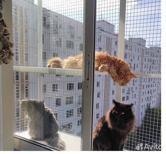 Вольер для кошек на окна