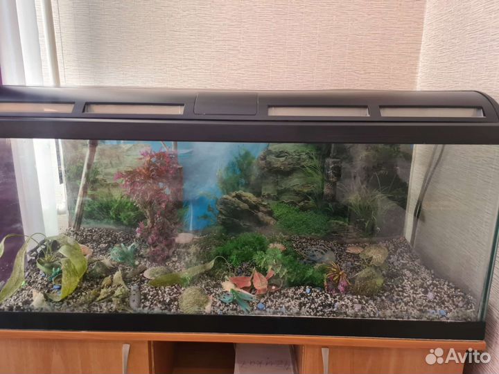 Аквариум