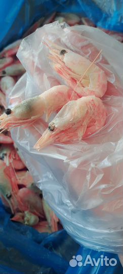 Креветки Мурманские