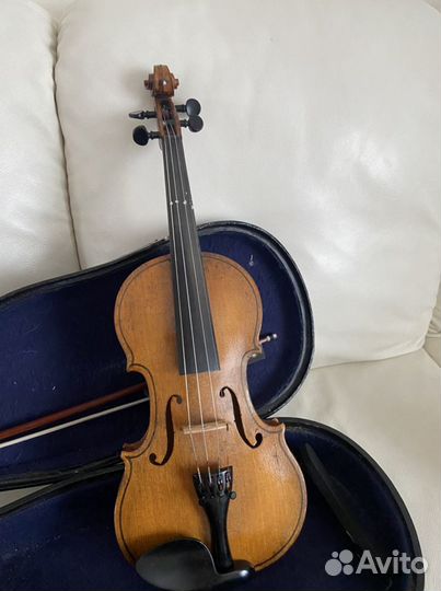 Скрипка1/2