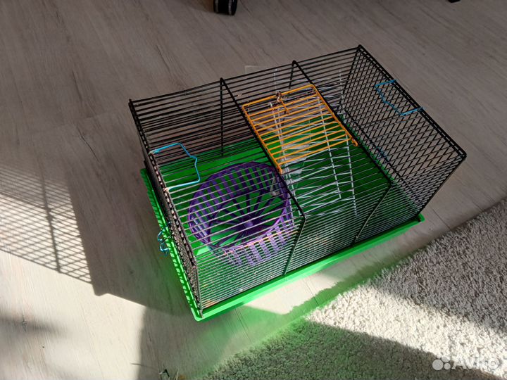 Клетка