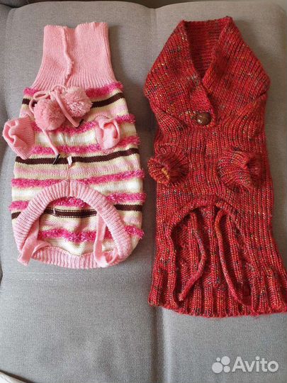 Костюм для собаки (три в объявлении)