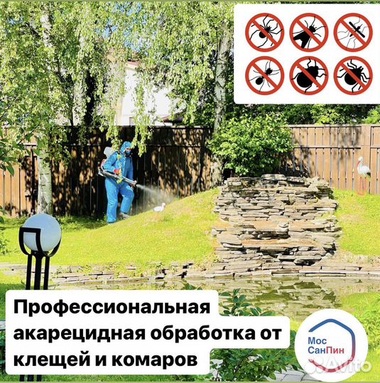 Уничтожение клопов, тараканов, клещей Дезинсекция