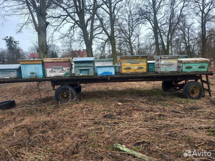 Продается пасека, ульи.рамки