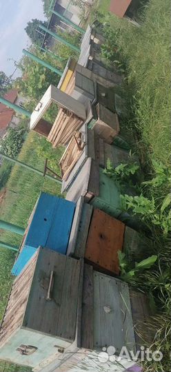 Улей для пчел