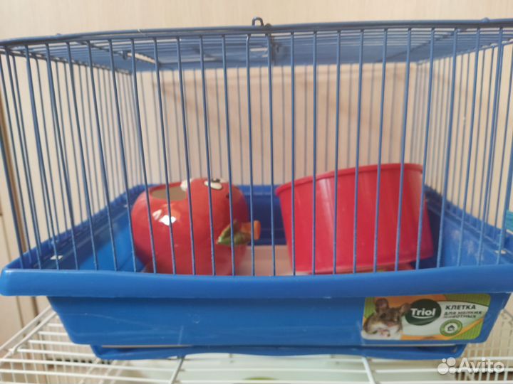 Клетка для хомяков