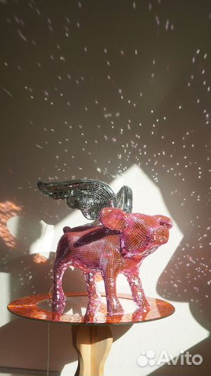 Летающий диско свин