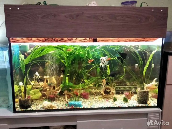 3 Аквариума
