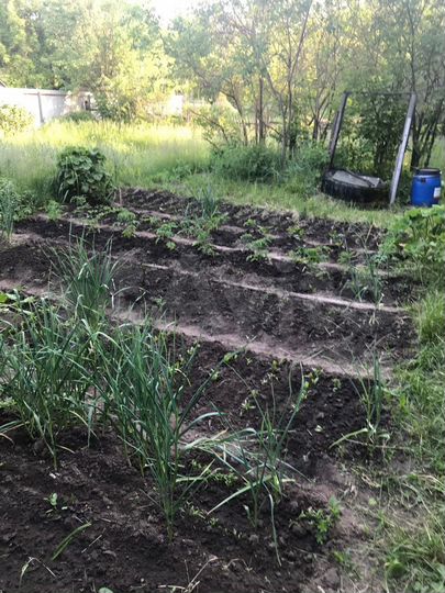 Дача 48 м² на участке 18 сот.