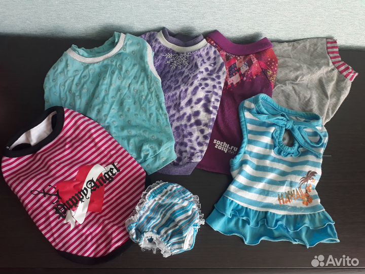 Одежда и обувь для маленьких собак