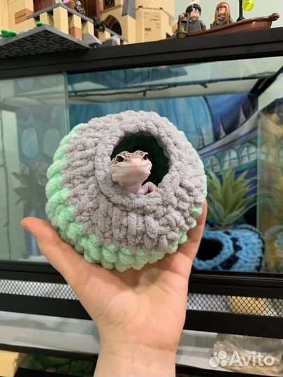 Домик для эублефара, геккона, ящерицы