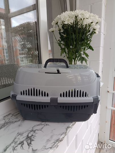 Переноска в аренду