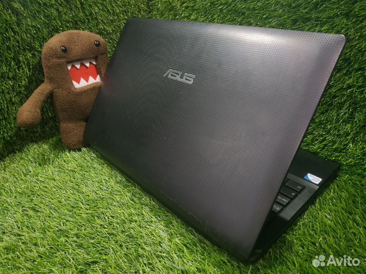 Asus для простых игр и учёбы