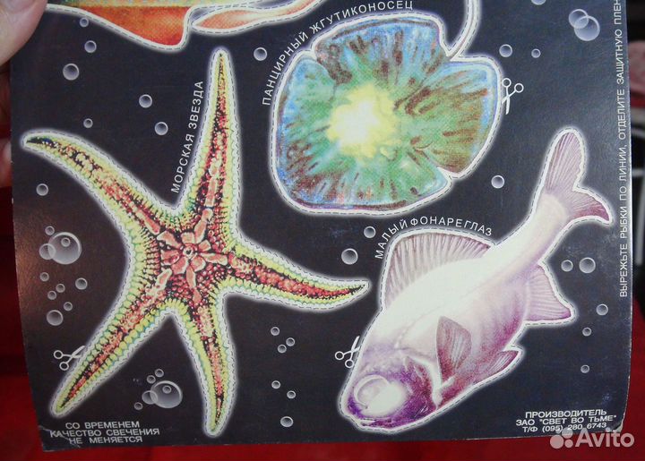 Глубоводные животные - светятся в темноте