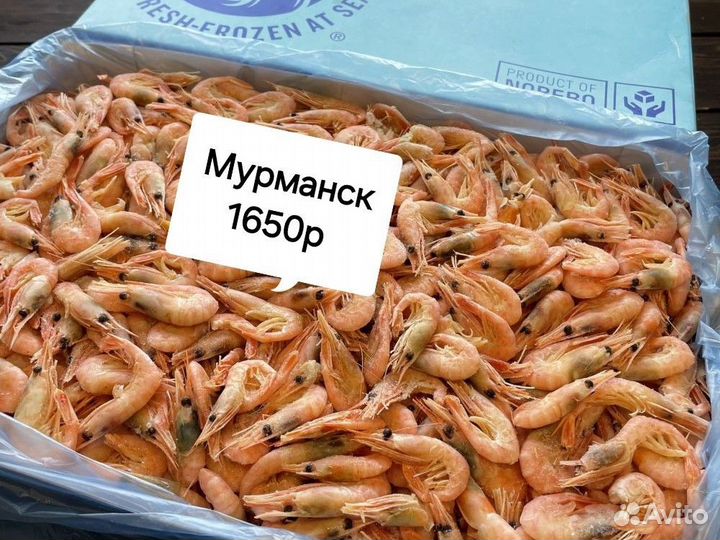 Креветка северная карат 5кг