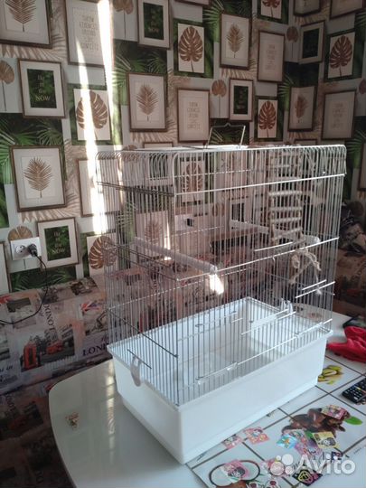 Клетка для попугая