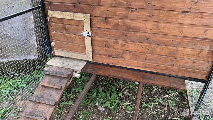 Курятник для кур