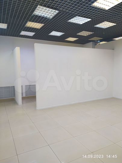 Торговая площадь, 56 м²