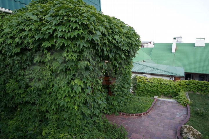 Мини гостиница 340 м кв