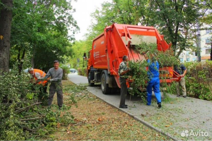 Ландшафтнве работы, озеленение, уборка снега