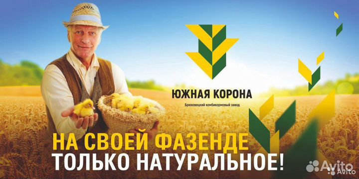 Комбикорм зерносмесь пшеница кукуруза