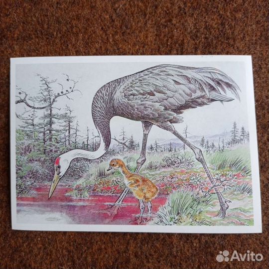 Наборы открыток СССР