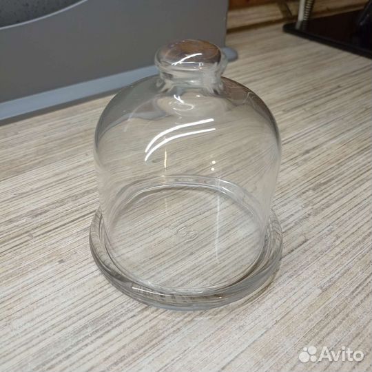 Лимонница стеклянная
