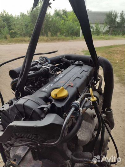 Двигатель Opel Astra G 2001 Y17DT