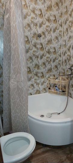 2-к. квартира, 45 м², 1/3 эт.