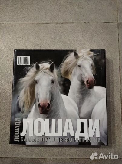 Подарочная книга