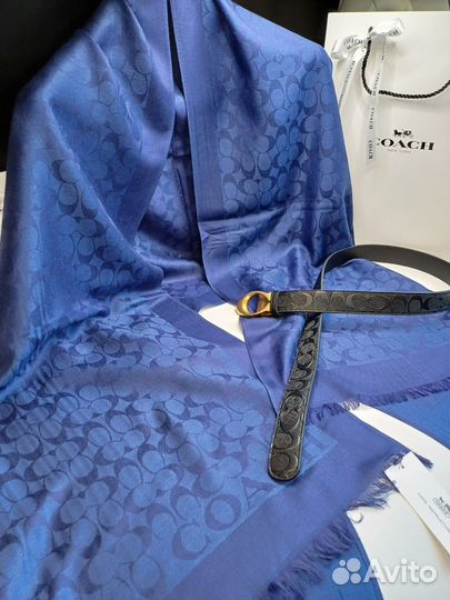 Стильный комплект coach