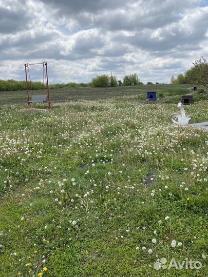 Покос травы