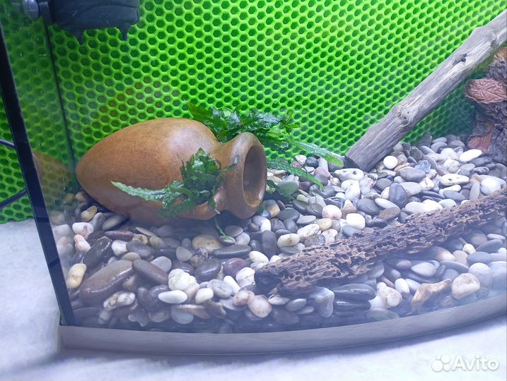 Аквариум с полным комплектом на 35л