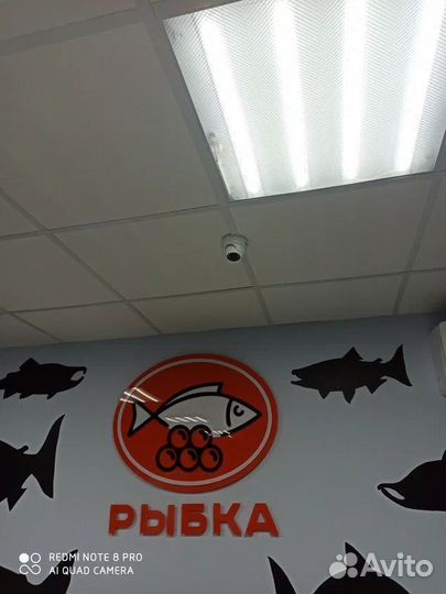 Видеонаблюдение в офис / на дачу / на турбазу