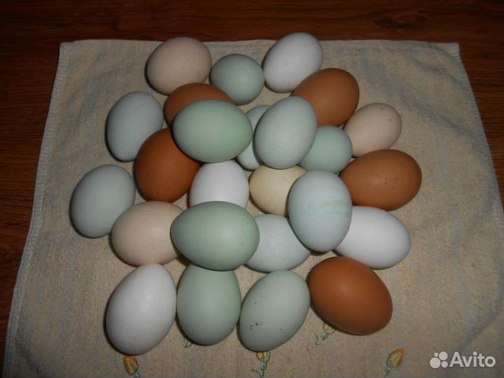 Яйцо куринное от молодок, цветное