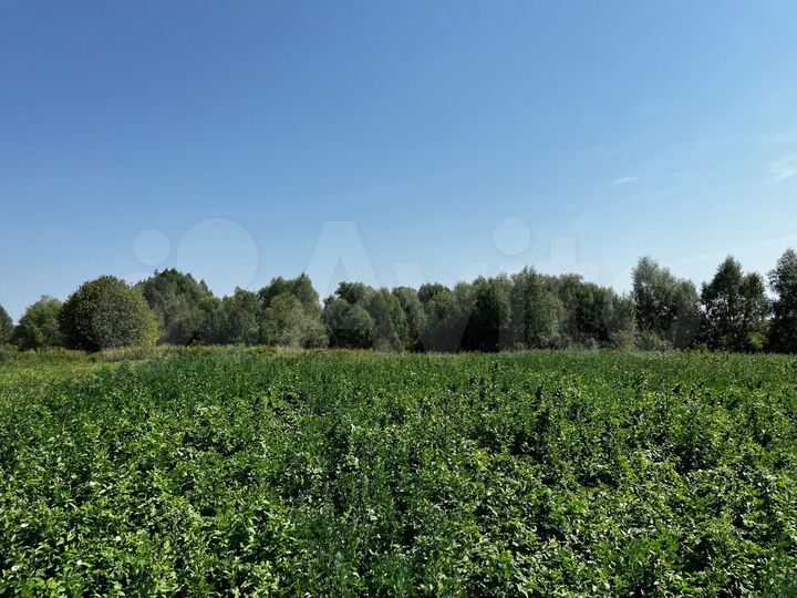 Участок 36 сот. (ИЖС)