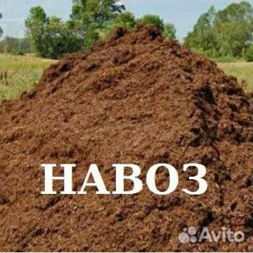 Навоз с доставкой