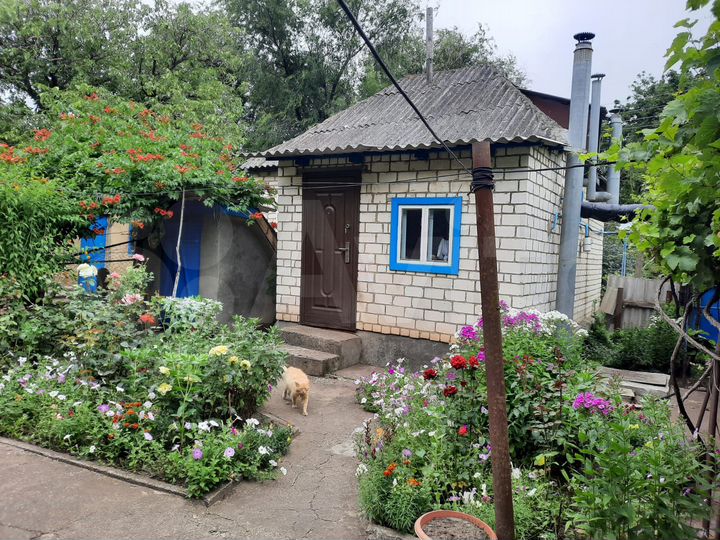 Дом 55 м² на участке 23 сот.