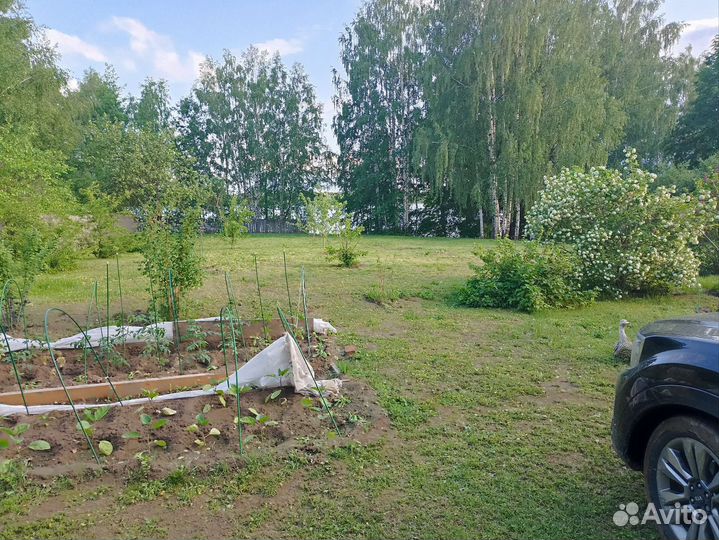 Покос травы триммером