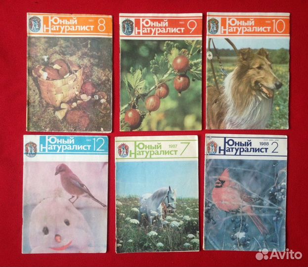 Журнал юный Натуралист
