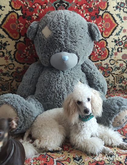 Мишка Тедди большой