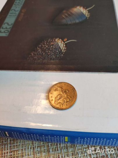 Монета брак на аверсе