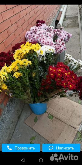 Букеты из хризантем