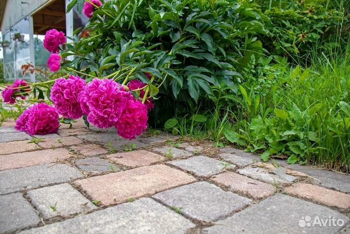 Тротуарная плитка Steinrus