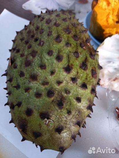 Гуанабана, аннона колючая косточки