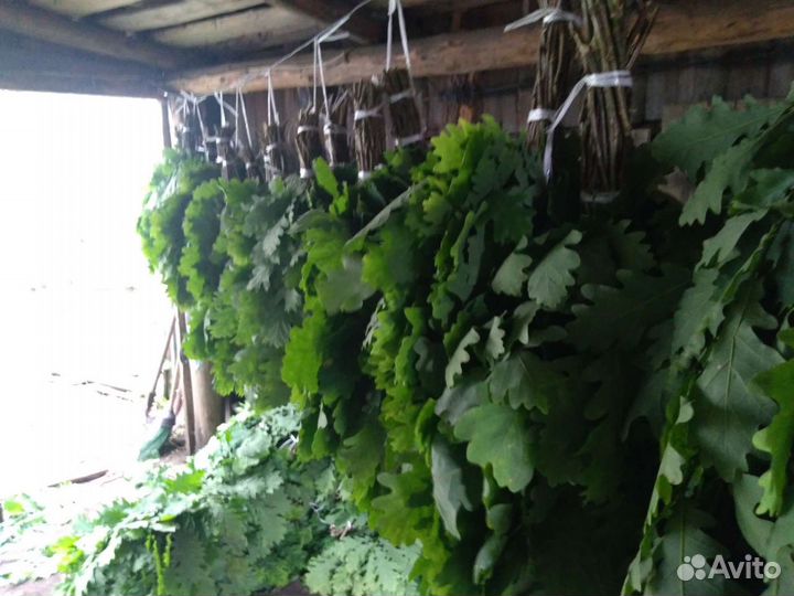 Веники дубовые банные