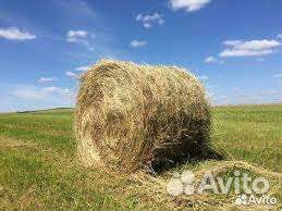 Сено в рулонах