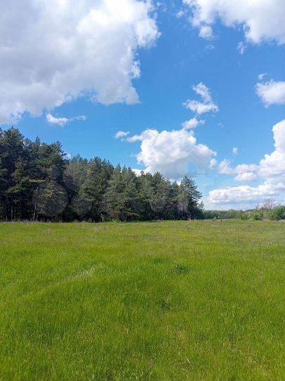 Участок 15 сот. (ИЖС)