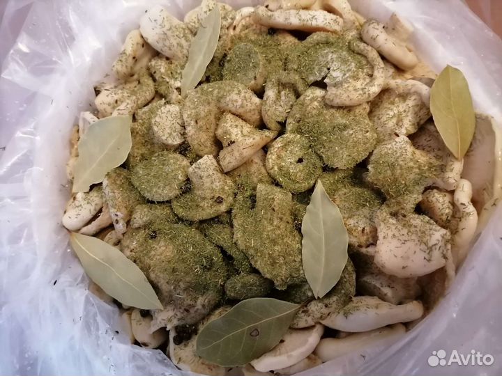 Грибы грузди