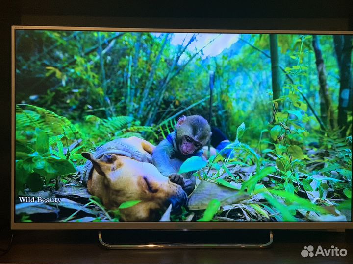 Телевизор Sony 42